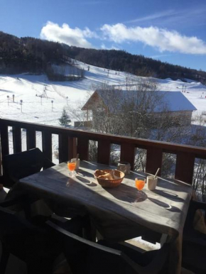 Appart très ensoleillé 7 pers au pied des pistes